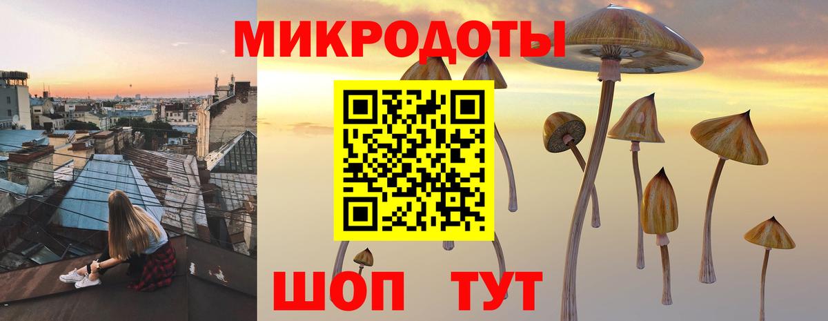 Псилоцибиновые грибы мицелий Лениногорск